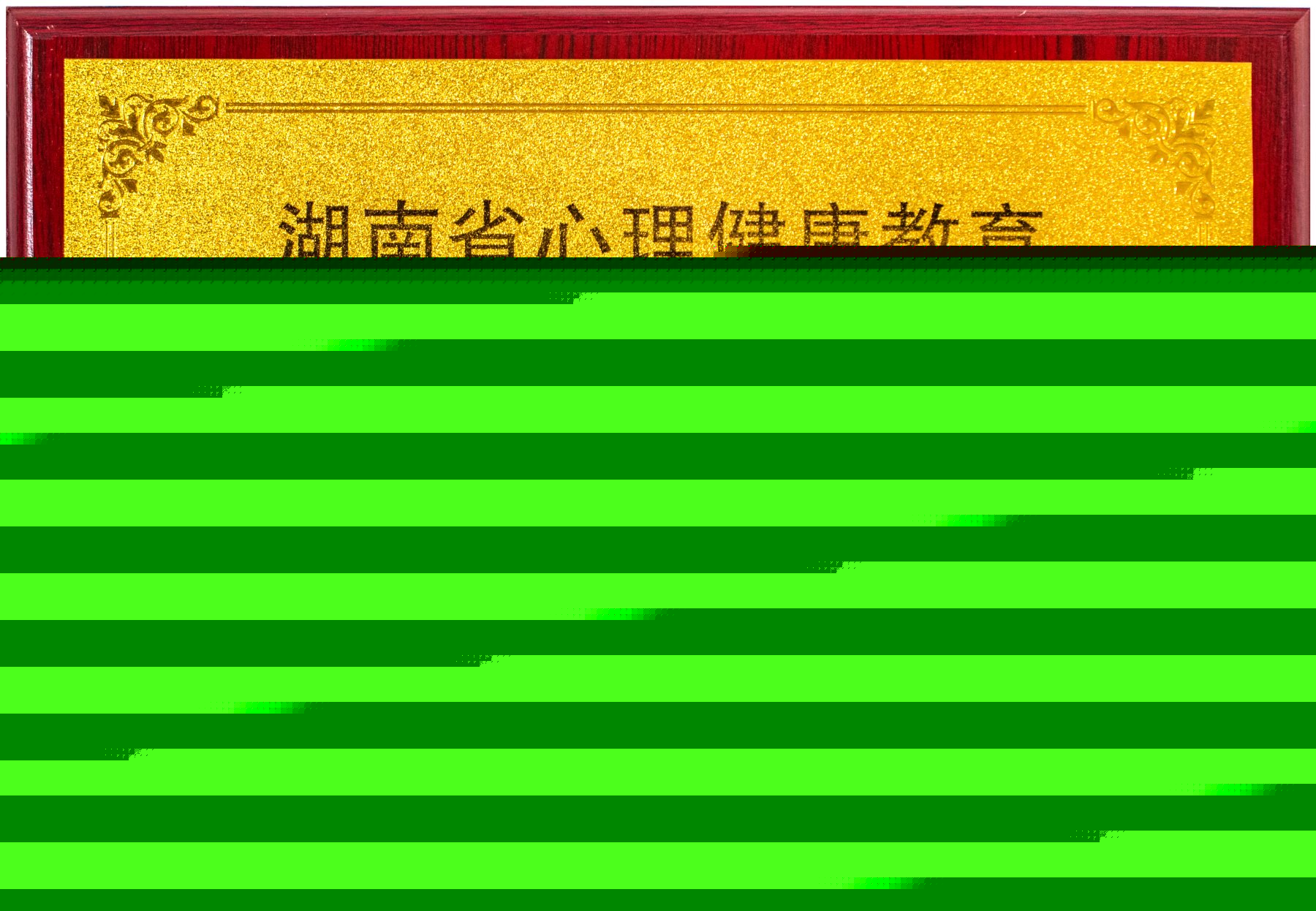 湖南省心理健康教育特色学校（2022）<br><img src=/oa/zs/湖南省心理健康教育特色学校.jpg width=600>