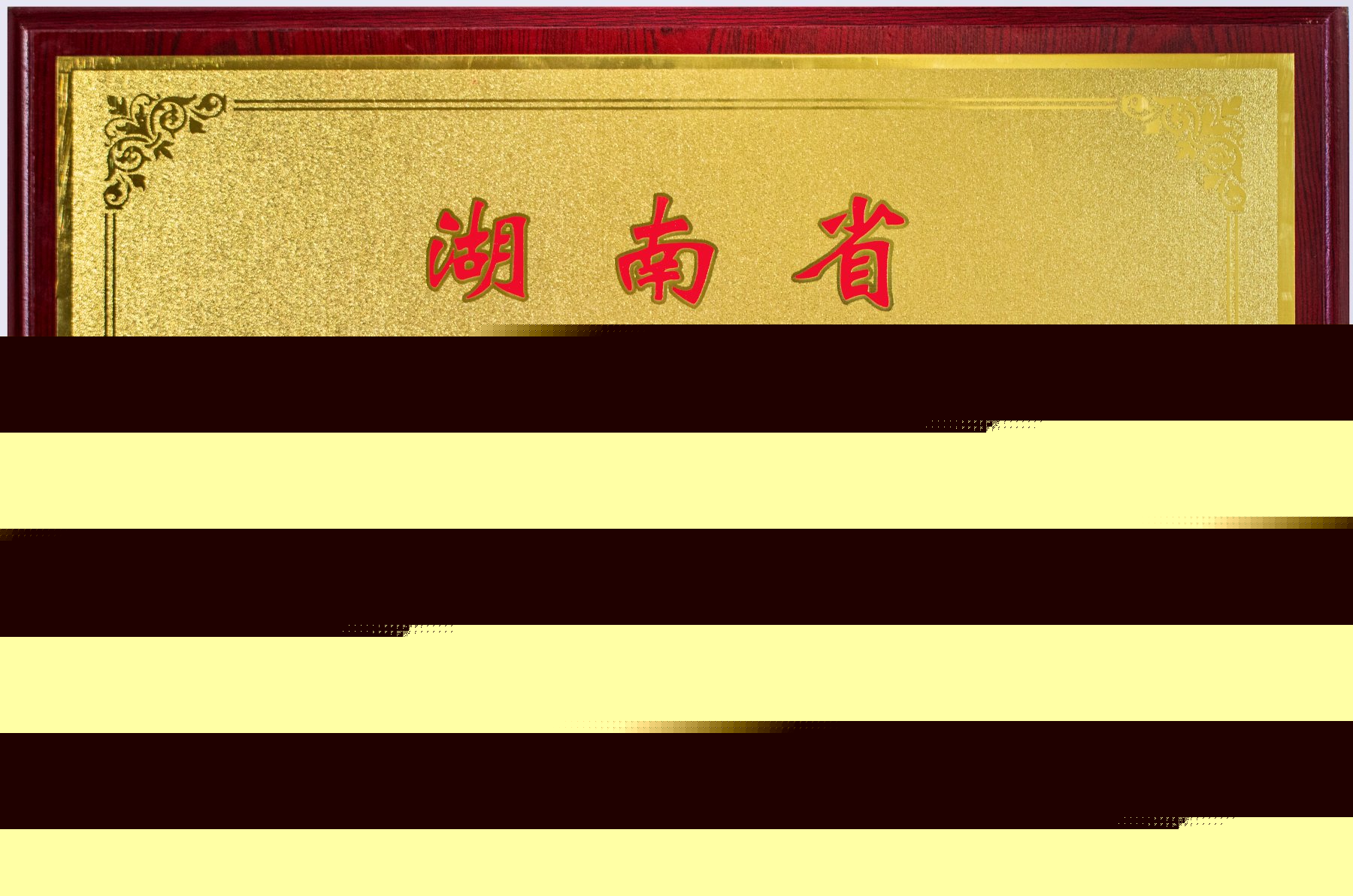 湖南省营养与健康学校<br><img src=/oa/zs/湖南省营养与健康学校.jpg width=600>